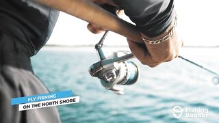 Cozumel (Косумель), что нужно знать про рыбалку у берега