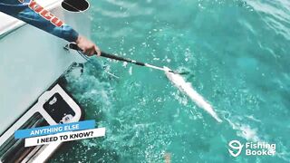 Cozumel (Косумель), что нужно знать про рыбалку у берега