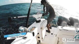 Cozumel (Косумель), что нужно знать про рыбалку у берега