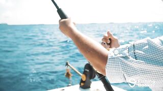 Cozumel (Косумель), что нужно знать про рыбалку у берега