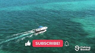 Cozumel (Косумель), что нужно знать про рыбалку у берега