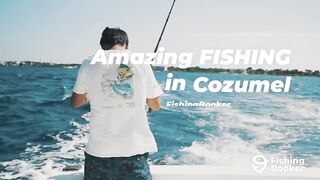 Cozumel (Косумель), что нужно знать про рыбалку у берега