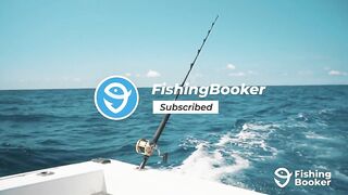 Cozumel (Косумель), что нужно знать про рыбалку у берега