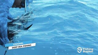 Cozumel (Косумель), что нужно знать про рыбалку у берега