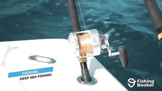 Cozumel (Косумель), что нужно знать про рыбалку у берега