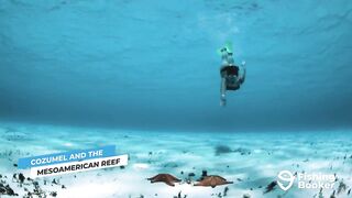 Cozumel (Косумель), что нужно знать про рыбалку у берега