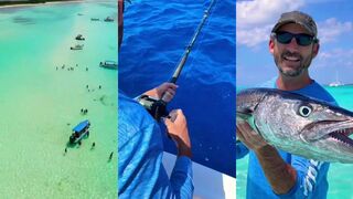 Cozumel (Косумель) гигантская барракуда у берега это редкость?