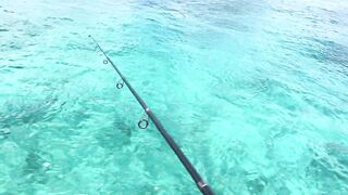 Cozumel (Косумель), Мексика где лучшая рыбалка у берега?