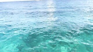 Cozumel (Косумель), Мексика где лучшая рыбалка у берега?