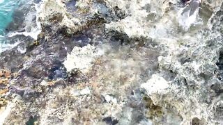 Cozumel (Косумель), Мексика где лучшая рыбалка у берега?