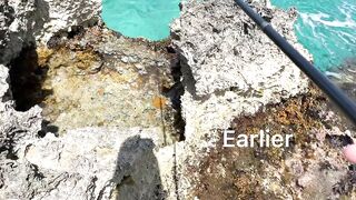 Cozumel (Косумель), Мексика где лучшая рыбалка у берега?