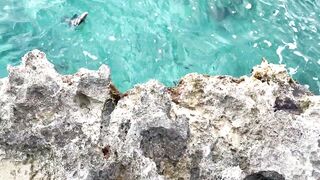 Cozumel (Косумель), Мексика где лучшая рыбалка у берега?