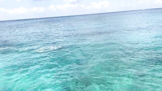 Cozumel (Косумель), Мексика где лучшая рыбалка у берега?