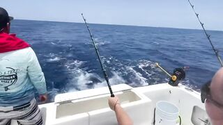 Cozumel (Косумель) офшорная рыбалка на махи и выход из марины