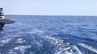 Cozumel (Косумель) офшорная рыбалка на махи и выход из марины