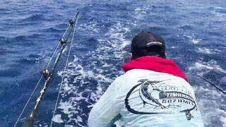 Cozumel (Косумель) офшорная рыбалка на махи и выход из марины