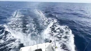 Cozumel (Косумель) офшорная рыбалка на махи и выход из марины