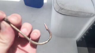 Cozumel (Косумель) офшорная рыбалка на махи и выход из марины