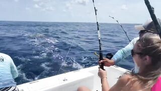 Cozumel (Косумель) офшорная рыбалка на махи и выход из марины