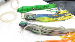 Puerto Vallarta (Пуэрто-Вальярта) путеводитель по рыбалке у берега