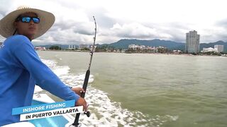 Puerto Vallarta (Пуэрто-Вальярта) путеводитель по рыбалке у берега