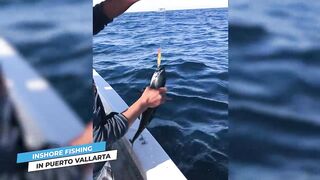 Puerto Vallarta (Пуэрто-Вальярта) путеводитель по рыбалке у берега