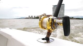 Puerto Vallarta (Пуэрто-Вальярта) путеводитель по рыбалке у берега