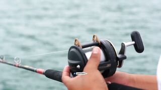 Puerto Vallarta (Пуэрто-Вальярта) путеводитель по рыбалке у берега