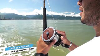 Puerto Vallarta (Пуэрто-Вальярта) путеводитель по рыбалке у берега