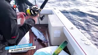 Puerto Vallarta (Пуэрто-Вальярта) путеводитель по рыбалке у берега