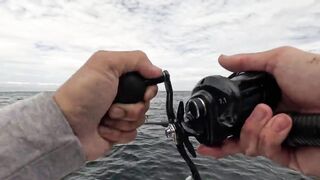 Puerto Vallarta (Пуэрто-Вальярта). 24 часа рыбалки и готовки улова.