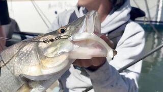 Puerto Vallarta (Пуэрто-Вальярта). 24 часа рыбалки и готовки улова.