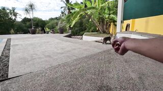 Puerto Vallarta (Пуэрто-Вальярта). 24 часа рыбалки и готовки улова.