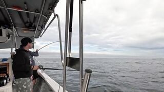 Puerto Vallarta (Пуэрто-Вальярта). 24 часа рыбалки и готовки улова.