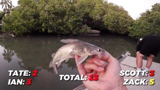 Puerto Vallarta (Пуэрто-Вальярта). 24 часа рыбалки и готовки улова.