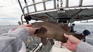 Puerto Vallarta (Пуэрто-Вальярта). 24 часа рыбалки и готовки улова.