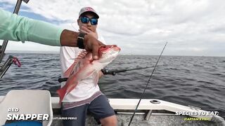 Puerto Vallarta (Пуэрто-Вальярта). 24 часа рыбалки и готовки улова.