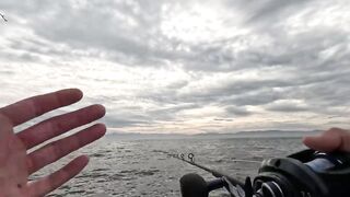 Puerto Vallarta (Пуэрто-Вальярта). 24 часа рыбалки и готовки улова.