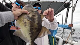 Puerto Vallarta (Пуэрто-Вальярта). 24 часа рыбалки и готовки улова.