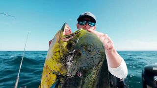 Puerto Vallarta (Пуэрто-Вальярта), Mexico (Мексика) - рыбалка и готовка улова у берега