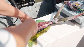 Puerto Vallarta (Пуэрто-Вальярта), Mexico (Мексика) - рыбалка и готовка улова у берега