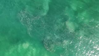 Puerto Vallarta (Пуэрто-Вальярта), Mexico (Мексика) - рыбалка и готовка улова у берега