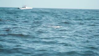 Puerto Vallarta (Пуэрто-Вальярта), Mexico (Мексика) - рыбалка и готовка улова у берега