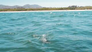 Puerto Vallarta (Пуэрто-Вальярта), Mexico (Мексика) - рыбалка и готовка улова у берега