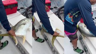 Puerto Vallarta (Пуэрто-Вальярта), Mexico (Мексика). Рыбалка у берега в 2025.