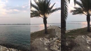 Manama (Манама), Бахрейн. Время рыбалки у берега.