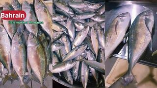 Manama (Манама, Бахрейн), рыбный рынок и уловы дня