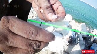 Manama (Манама), Бахрейн. Морская рыбалка у берега.