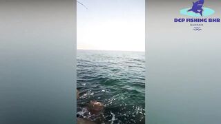 Manama (Манама) - снасти и морское снаряжение, утренний визит