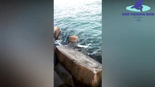 Manama (Манама) - снасти и морское снаряжение, утренний визит